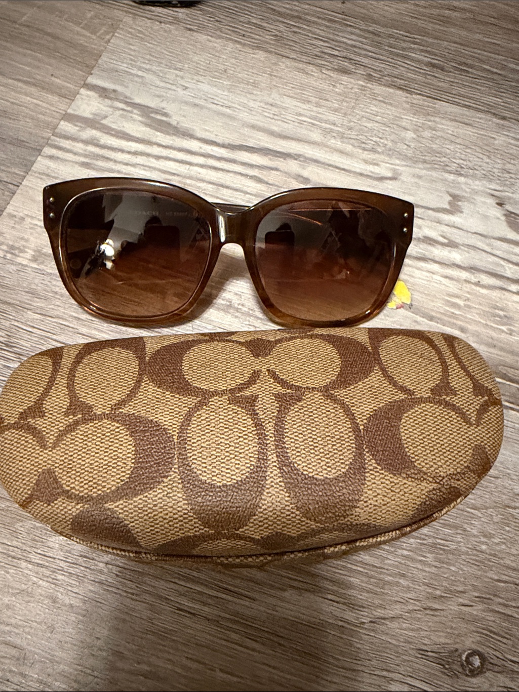 Coach Brown Gradient Cat-Eye Sunglasses